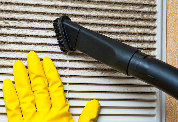 Best Air Duct Sanitizing Services  in Spencerport, NY